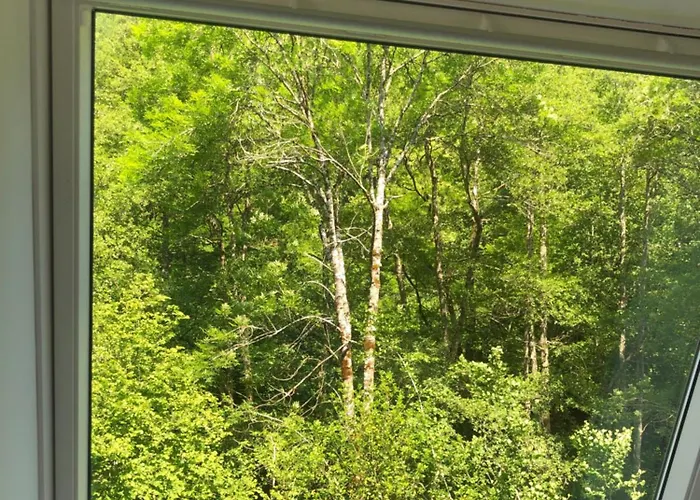 Hébergement de vacances Grange Gaïa Sur Rivière *