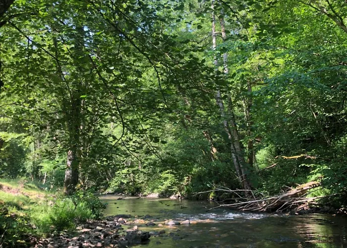 Grange Gaïa Sur Rivière Hébergement de vacances Taussac