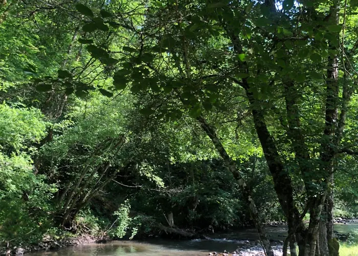 Grange Gaïa Sur Rivière Hébergement de vacances *