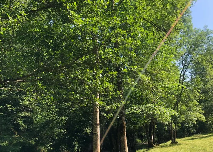 Grange Gaïa Sur Rivière Taussac